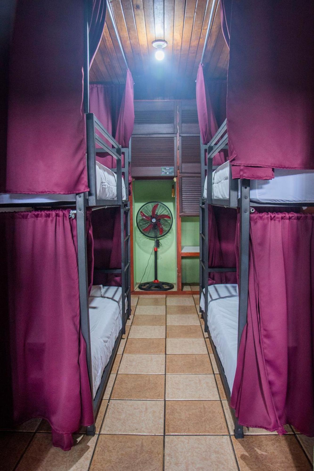 Gardens House, Airport Juan Santamaria, Alajuela, San Jose Hostel Kültér fotó