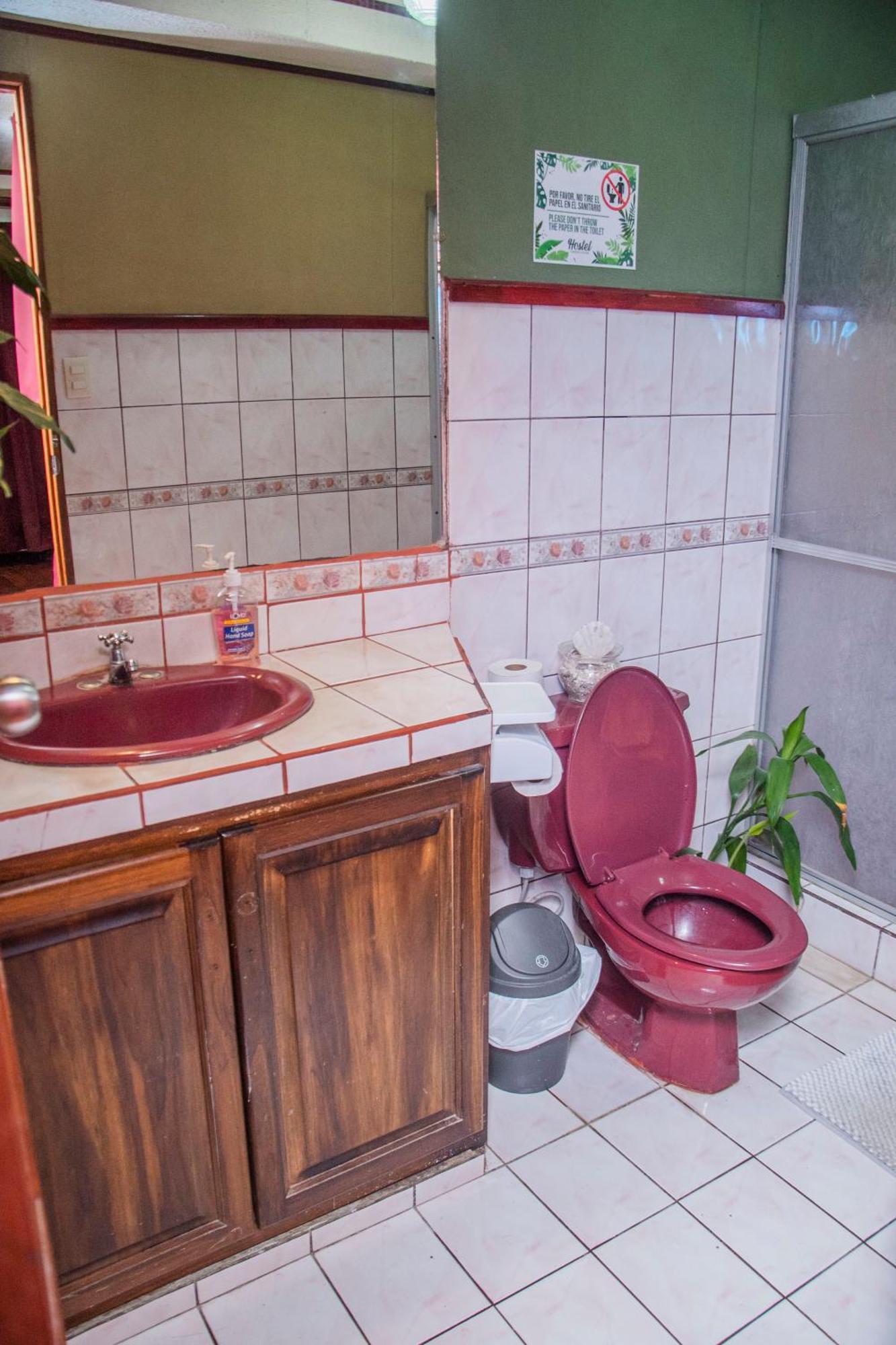 Gardens House, Airport Juan Santamaria, Alajuela, San Jose Hostel Kültér fotó