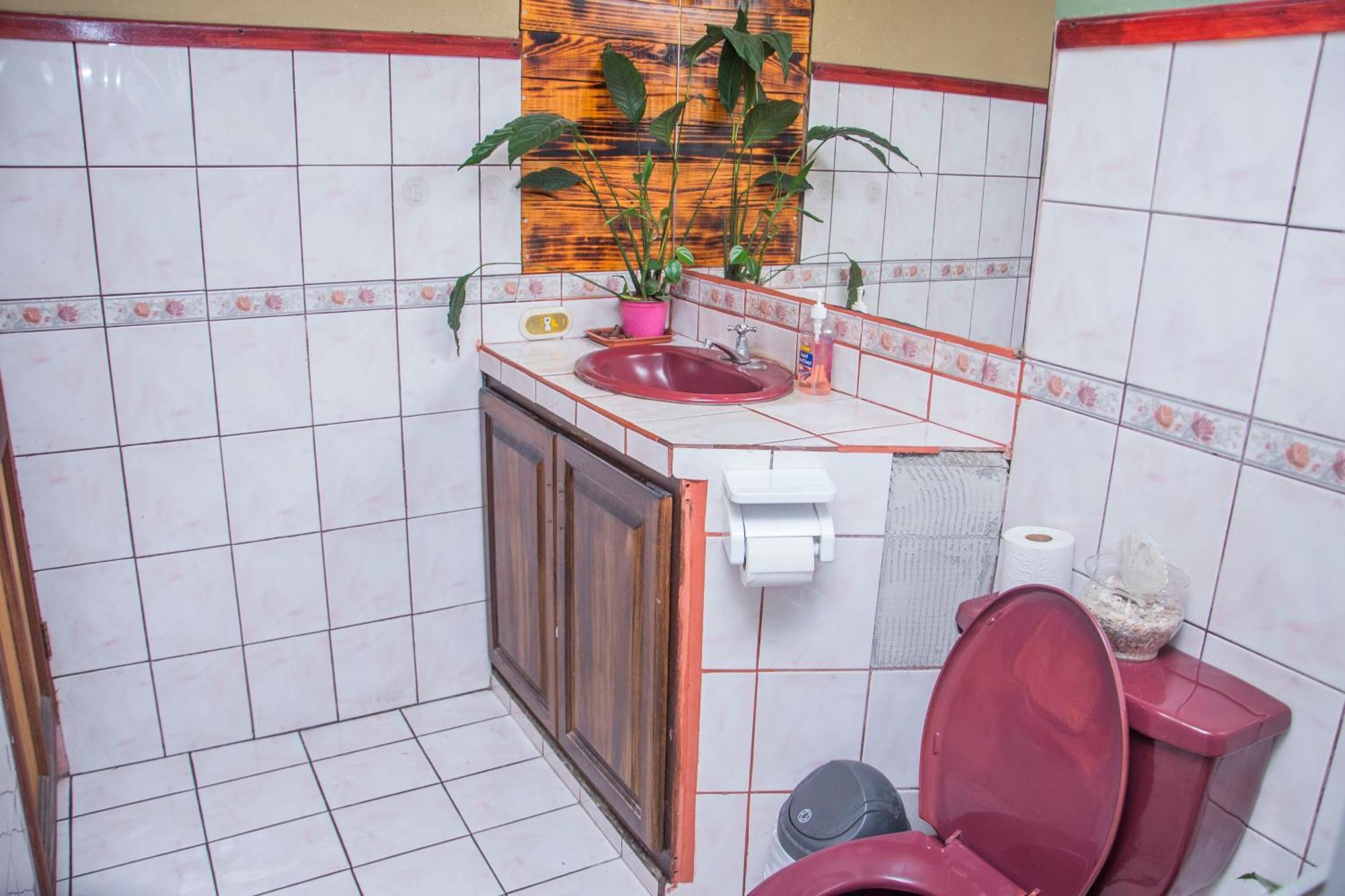 Gardens House, Airport Juan Santamaria, Alajuela, San Jose Hostel Kültér fotó