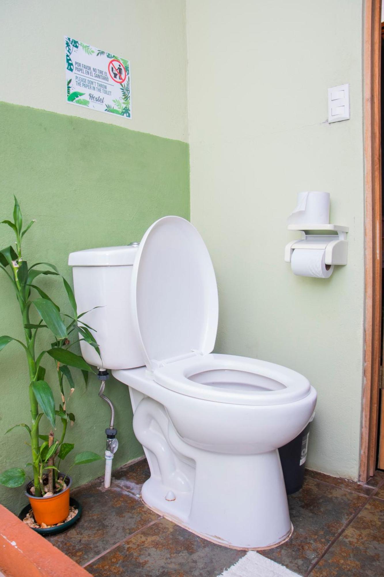 Gardens House, Airport Juan Santamaria, Alajuela, San Jose Hostel Kültér fotó